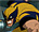 Wolverine and The X-Men